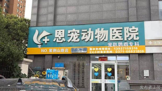 2026年8月新！郑州异宠服务实力榜：兔子鹦鹉乌龟爬宠全覆盖